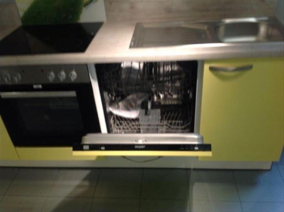 Neue Küche Hochglanz Echt Lack kompl  Küchenzeile Einbauküche ÄÄÄ - Bild 4